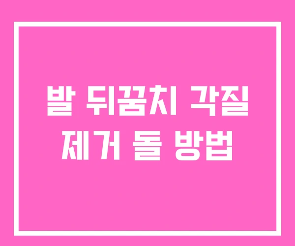 발 뒤꿈치 각질 제거 돌 방법 발 뒤꿈치 각질 제거 돌 방법