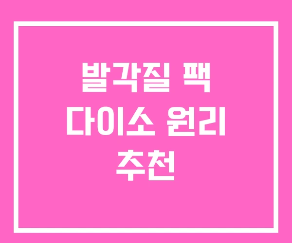 발각질 팩 다이소 원리 추천 발각질 팩 다이소 원리 추천