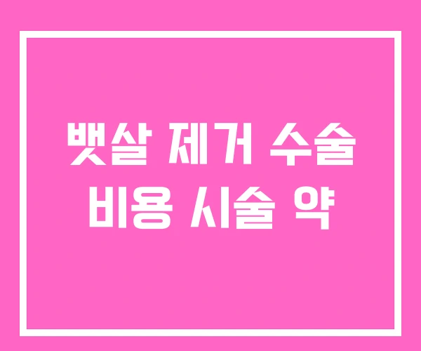 뱃살 제거 수술 비용 시술 약