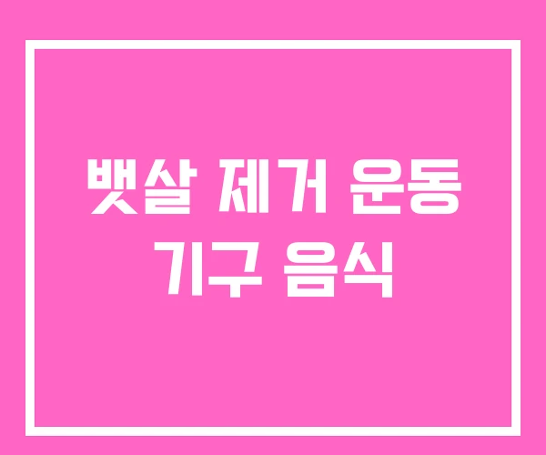 뱃살 제거 운동 기구 음식 뱃살 제거 운동 기구 음식