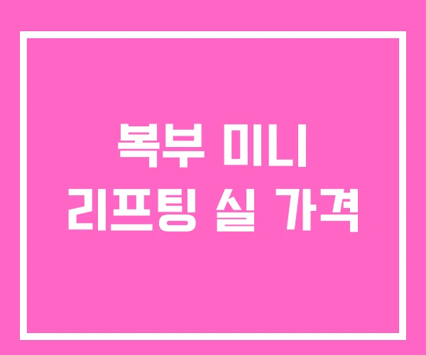 복부 미니 리프팅 실 가격