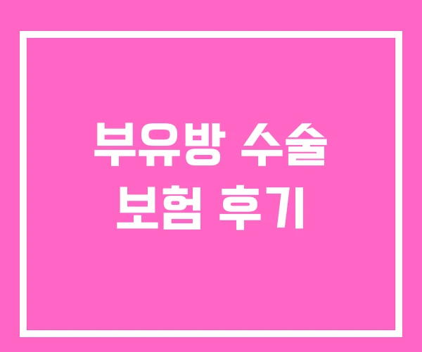 부유방 수술 보험 후기