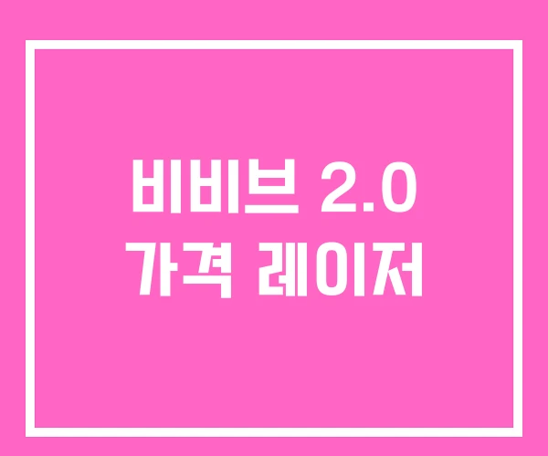 비비브 2.0 가격 레이저