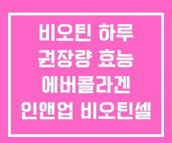 비오틴 하루 권장량 효능 에버콜라겐 인앤업 비오틴셀