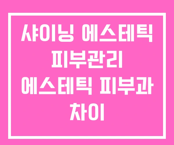 샤이닝 에스테틱 피부관리 에스테틱 피부과 차이