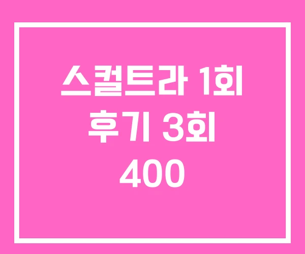 스컬트라 1회 후기 3회 400