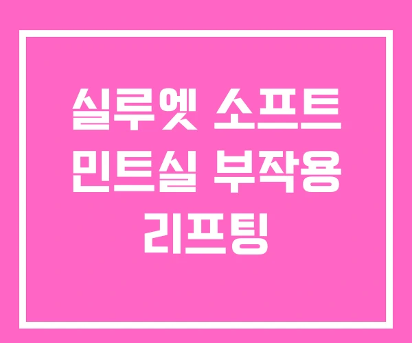 실루엣 소프트 민트실 부작용 리프팅