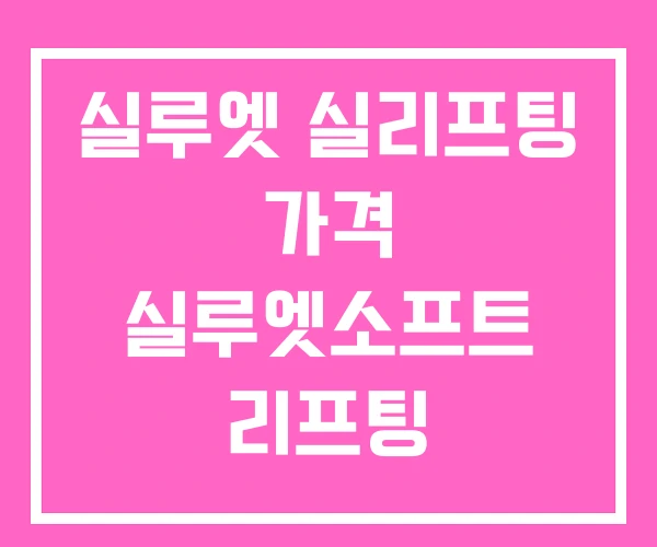 실루엣 실리프팅 가격 실루엣소프트 리프팅