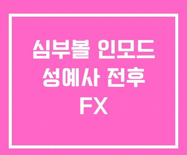 심부볼 인모드 성예사 전후 FX