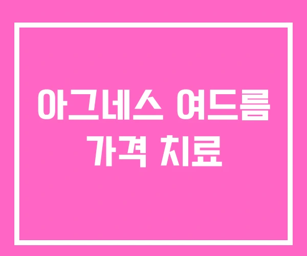 아그네스 여드름 가격 치료