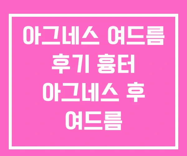 아그네스 여드름 후기 흉터 아그네스 후 여드름