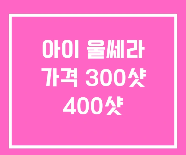 아이 울쎄라 가격 300샷 400샷