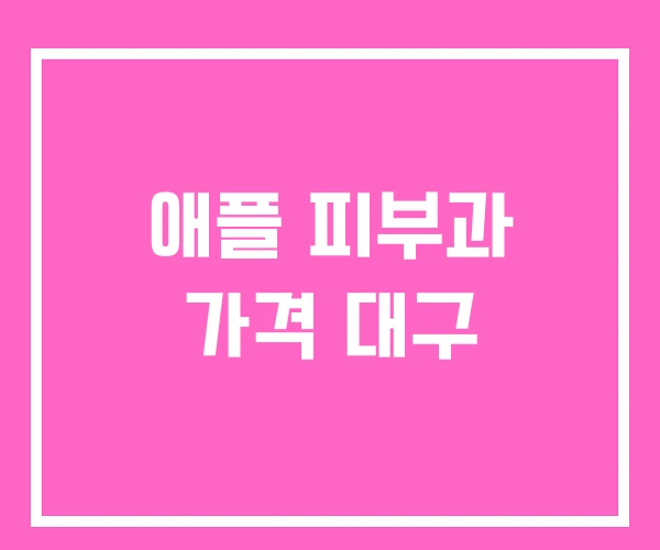 애플 피부과 가격 대구