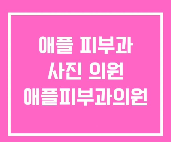 애플 피부과 사진 의원 애플피부과의원