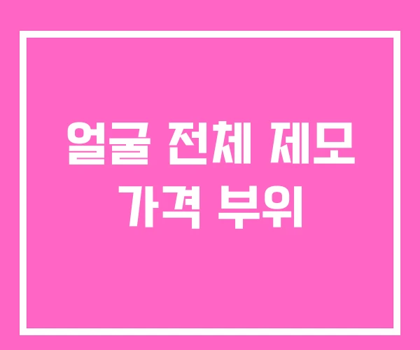 얼굴 전체 제모 가격 부위
