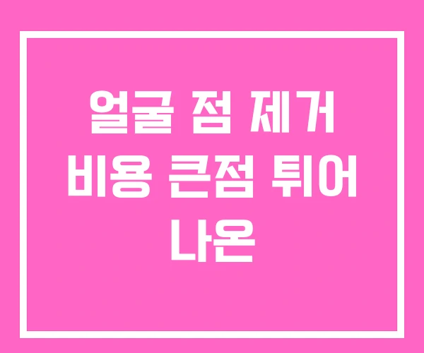 얼굴 점 제거 비용 큰점 튀어 나온