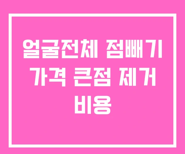 얼굴전체 점빼기 가격 큰점 제거 비용