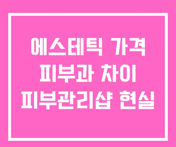 에스테틱 가격 피부과 차이 피부관리샵 현실