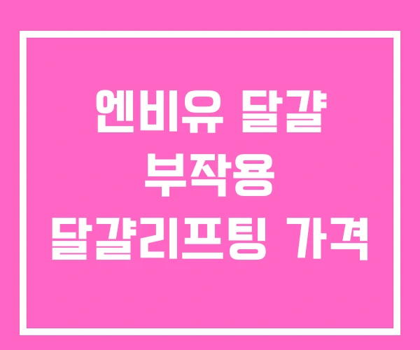 엔비유 달걀 부작용 달걀리프팅 가격