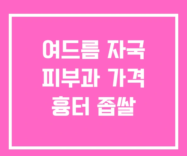 여드름 자국 피부과 가격 흉터 좁쌀