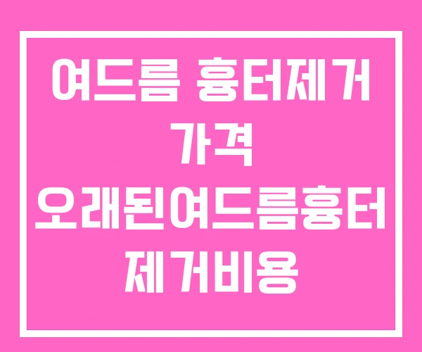 여드름 흉터제거 가격 오래된여드름흉터 제거비용 여드름 흉터제거 가격 오래된여드름흉터 제거비용