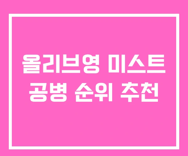 올리브영 미스트 공병 순위 추천