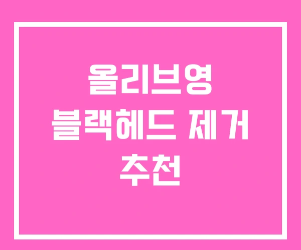 올리브영 블랙헤드 제거 추천