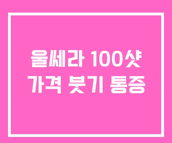 울쎄라 100샷 가격 붓기 통증 울쎄라 100샷 가격 붓기 통증