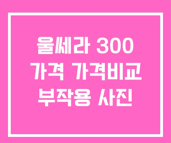 울쎄라 300 가격 가격비교 부작용 사진