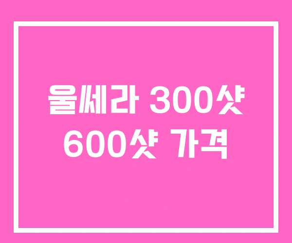 울쎄라 300샷 600샷 가격