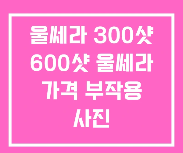 울쎄라 300샷 600샷 울쎄라 가격 부작용 사진