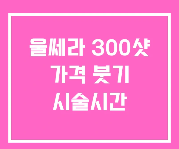 울쎄라 300샷 가격 붓기 시술시간 울쎄라 300샷 가격 붓기 시술시간
