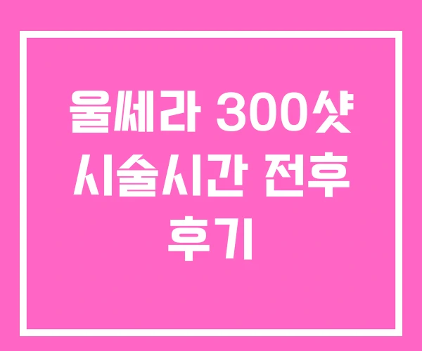 울쎄라 300샷 시술시간 전후 후기