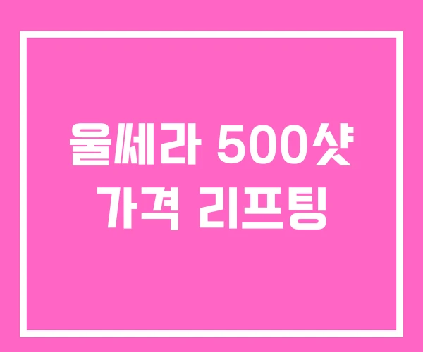 울쎄라 500샷 가격 리프팅