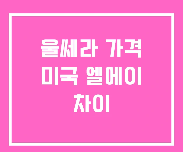 울쎄라 가격 미국 엘에이 차이