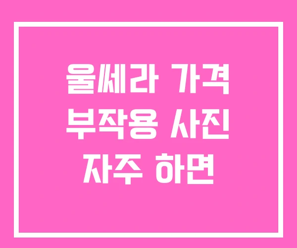 울쎄라 가격 부작용 사진 자주 하면