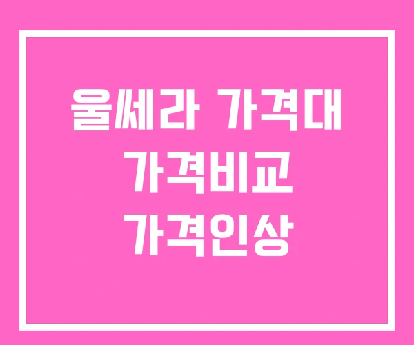 울쎄라 가격대 가격비교 가격인상