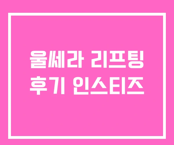 울쎄라 리프팅 후기 인스티즈