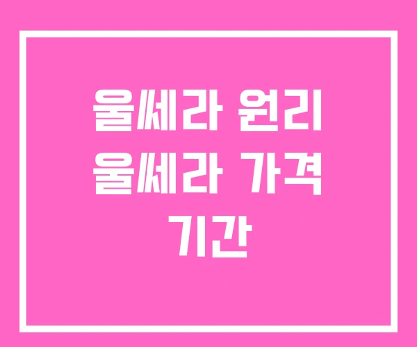 울쎄라 원리 울쎄라 가격 기간