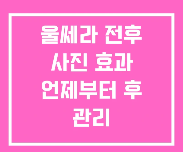 울쎄라 전후 사진 효과 언제부터 후 관리