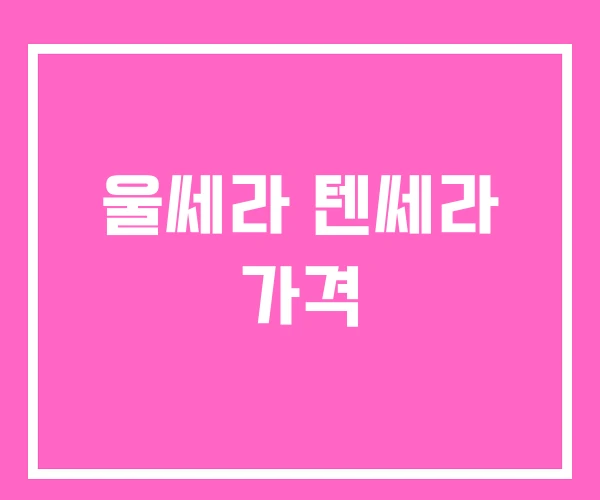 울쎄라 텐쎄라 가격
