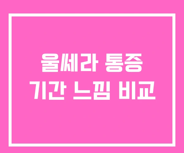 울쎄라 통증 기간 느낌 비교