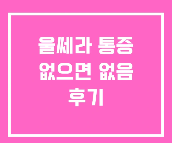 울쎄라 통증 없으면 없음 후기 울쎄라 통증 없으면 없음 후기