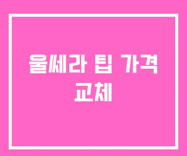 울쎄라 팁 가격 교체