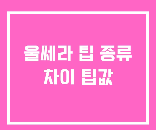 울쎄라 팁 종류 차이 팁값 울쎄라 팁 종류 차이 팁값