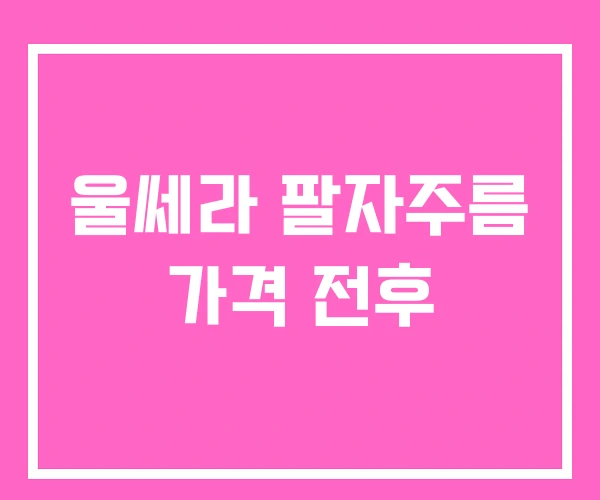 울쎄라 팔자주름 가격 전후