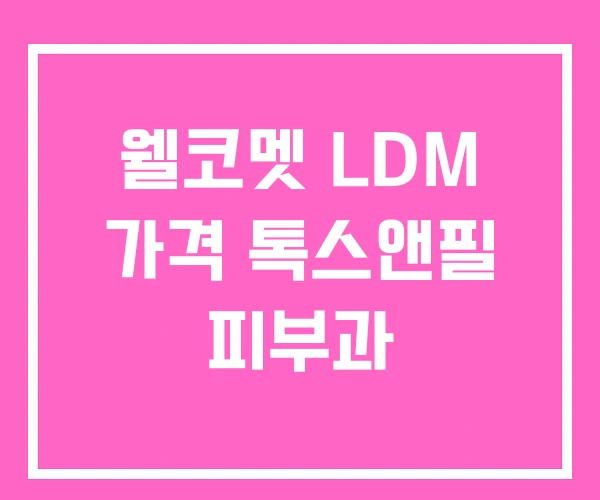 웰코멧 LDM 가격 톡스앤필 피부과