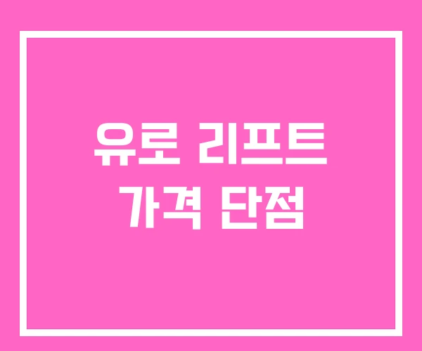 유로 리프트 가격 단점