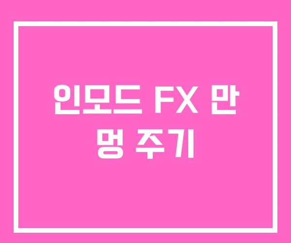 인모드 FX 만 멍 주기 인모드 FX 만 멍 주기