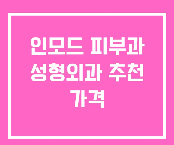 인모드 피부과 성형외과 추천 가격
